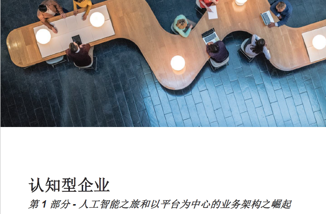 IBM：人工智能之旅和以平台为中心的业务架构之崛起(16页)(附下载地址)